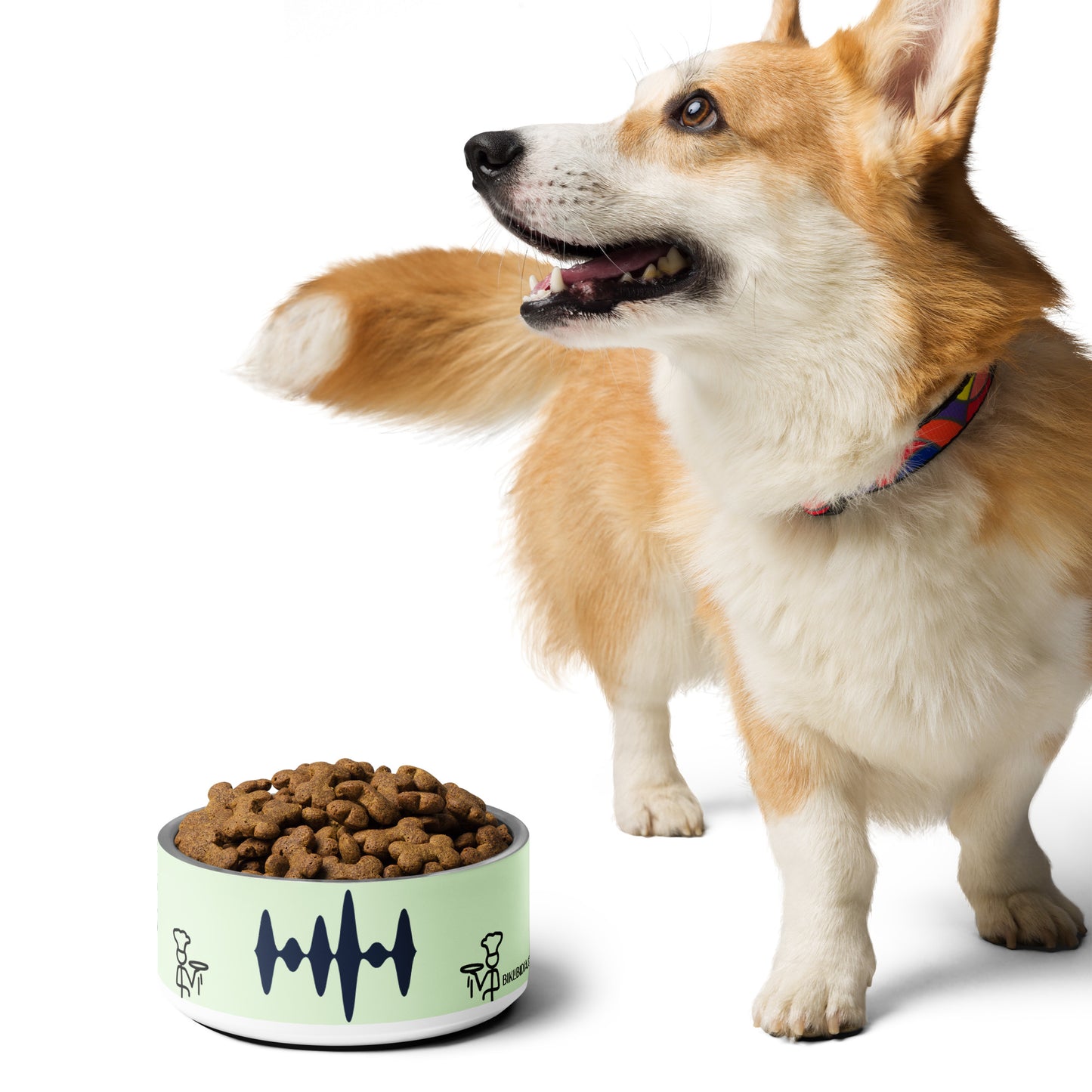 SERVED Pet Bowl - Green